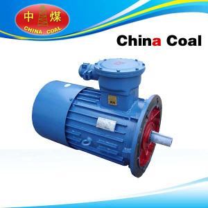 China DSB Series Flame-proof Three-phase Asynchronous Motor wholesale