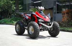 China China Racing ATV300CC01 wholesale
