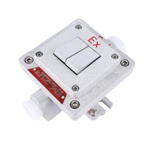 Flameproof Type Explosion-proof Wall Switch Surface-mounted Explosion-proof,