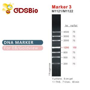 China Marker 3 DNA ladder M1121 (50μg)/M1122 (5×50μg) wholesale