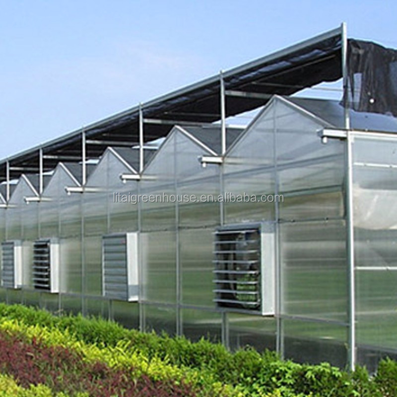 PE Material Hydroponic Vegetable Vertical Farming Groove System for Easy and Planting