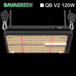 China Bava Greenhouse Grow Lamps Samsung Lm301b SAA Led Vertical Grow Light wholesale