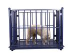 3000KG ODM Cattle Weighing Scales Carbon Steel