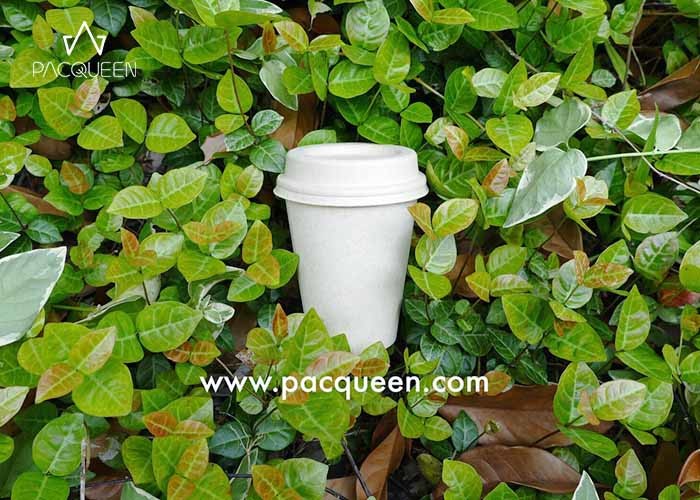 Sugarcane Hot Beverage Disposable Cups , Eco Disposable Cups Custom Printed