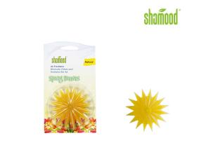 China Plastic Air Freshener Scented Starfish with Stick in Car &amp; Home Windows ​ wholesale