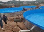 Eco-Friendly Geomembrane for Fish Pond 0.5mm Thickness from Length 50-200m /