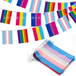China Custom Logo Polyester LGBT Flag Lesbian Gay Pride Triangle Flag wholesale
