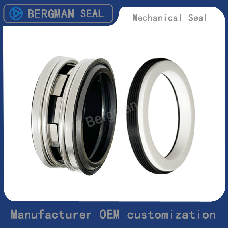 BERGMAN Replaces John Crane 2100-S 12mm-100mm G60 G4 G6 G9 G13 G16 BS Bo BP Pump Mechanical Seal