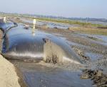 Anti Biodegradation Geotube Dewatering Bags For Solid Dam Engineering