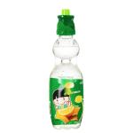 Lemon Flavor 500ml Carbonated Beverage Bottling for Low Fat Low Sugar OEM