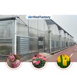 Thermostat Waterproof Plant Growing Hydroponics System Tunnel Large Greenhouses