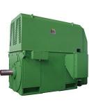 Squirrel cage asynchronous motor