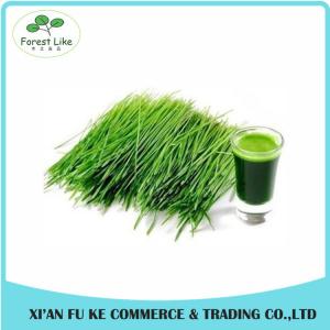 China High Quality Green barley grass juice powder wholesale
