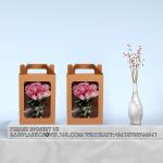 Window Box Gift Wrapping Bags Small Cake Boxes Bakery Bags With Standing Cookie