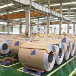 Stainless Steel Cold / Hot Rolled Coil Aluminum Carbon Galvanized PPGI Copper