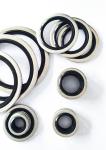 BSP Seal Stainless Steel Rubber EPDM NBR Bonded Seal Imperial