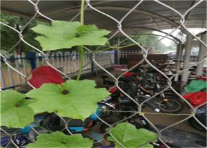 China Ferrule Wire Rope Plant Trellis 25x25mm 1.2mm Garden Wire For Climbing Plants wholesale