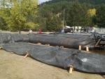 BLACK GT400 PP Woven Dewatering Geotube Breakwater For Cofferdam Geotube Dam
