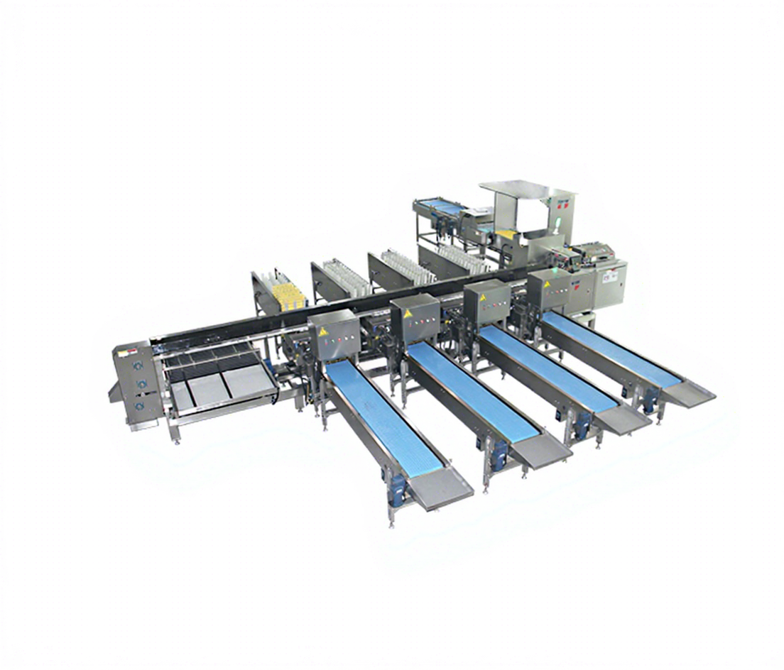 30,000 Eggs/hour LED Candling Electronic Egg Grading Sorting Machine