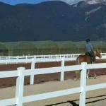 Stable White Black Color PVC Rail Fencing Ranch Paddock Horse Fencing