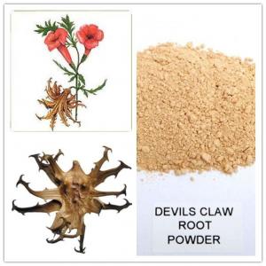 China devil's claw powder,devil's claw root extract,high quality devil's claw extract on sale