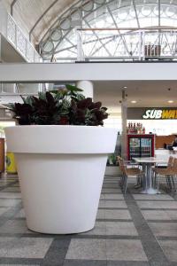 China Drainage Hole Hanging Fiberglass Planters For Indoor And Outdoor Decor wholesale