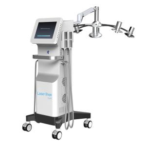 China 800W Power Cryolipolysis lipolaser slimming beauty machine EMS Frequency 2-100Hz wholesale