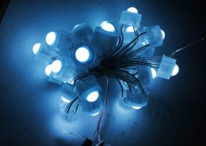 China 50pcs DC 12V 20mm LED Pixel Christmas Lights String Single Color Energy Saving wholesale