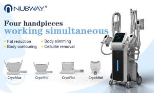 China 4 handles cryoliplysis fat reduction slimming machine fat freezing cryo machine wholesale