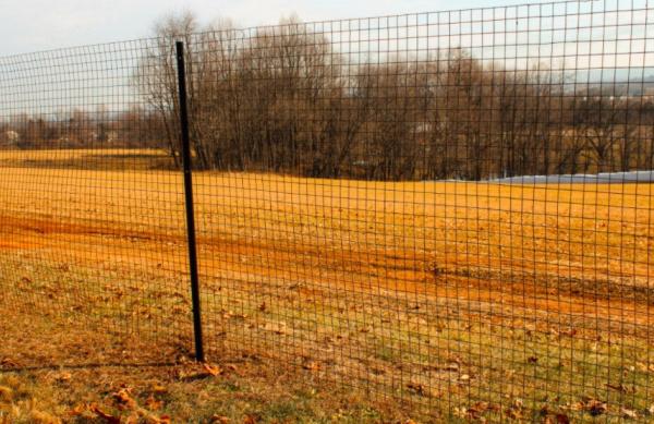 12 Gauge Black PVC Coated Welded Wire Fencing 8 inch Height 2x2 Galvanized Wire