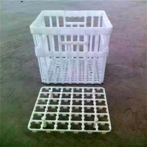 China Chicken Cage Turnover Box With Partition Board Chicken Transportation Cage Egg Cage wholesale