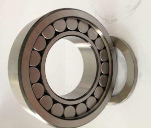 China SL045028PP bearings /ROLAMENTO SL045028PP / SL045028PP cylindrical roller bearings wholesale