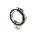 46117 Single Row 85*130*22mm Angular Contact Ball Bearing 7017AC for Your