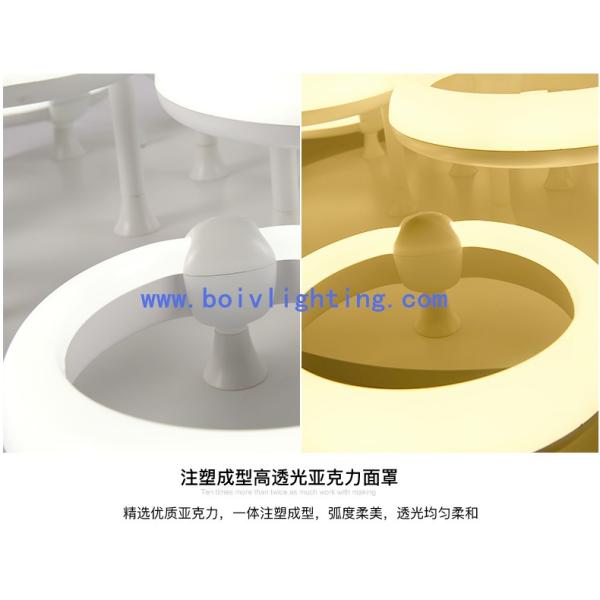 36W Indoor Decprative Iron Modern Ceiling Light LED Lamps