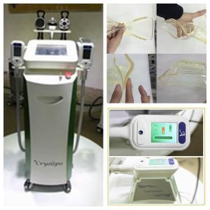 China Slimming equipment RF+ Vacuum+cavitation+cryolipolysis slimming machine fitness equipment wholesale