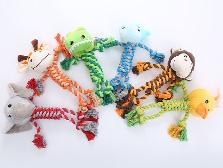 dog chew toy