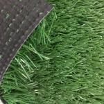 Biocolor Anti Corrosive Artificial Grass Football Field For Playground