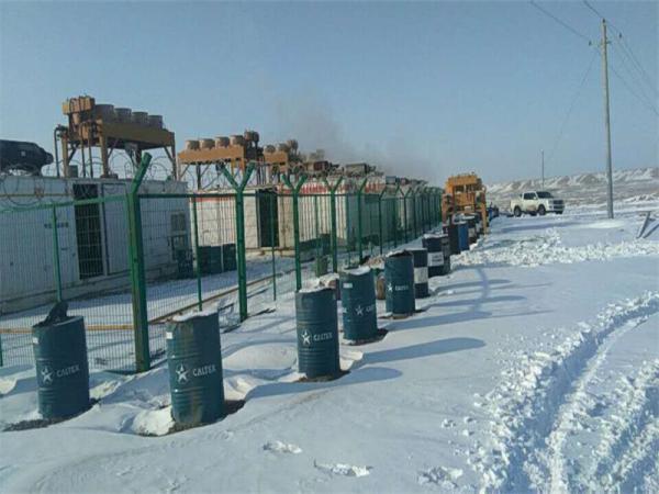 50Hz Rated Frequency and 210mm Piston Stroke Jinan Jichai Natural Gas Generator