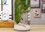 Transparent Fish Tank Tempered Safety Glass High Borosilicate Glass