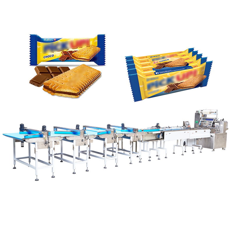 2.5kw Automatic Packing Machinery 700kg Sorting Auto Packaging Machine SN-250T