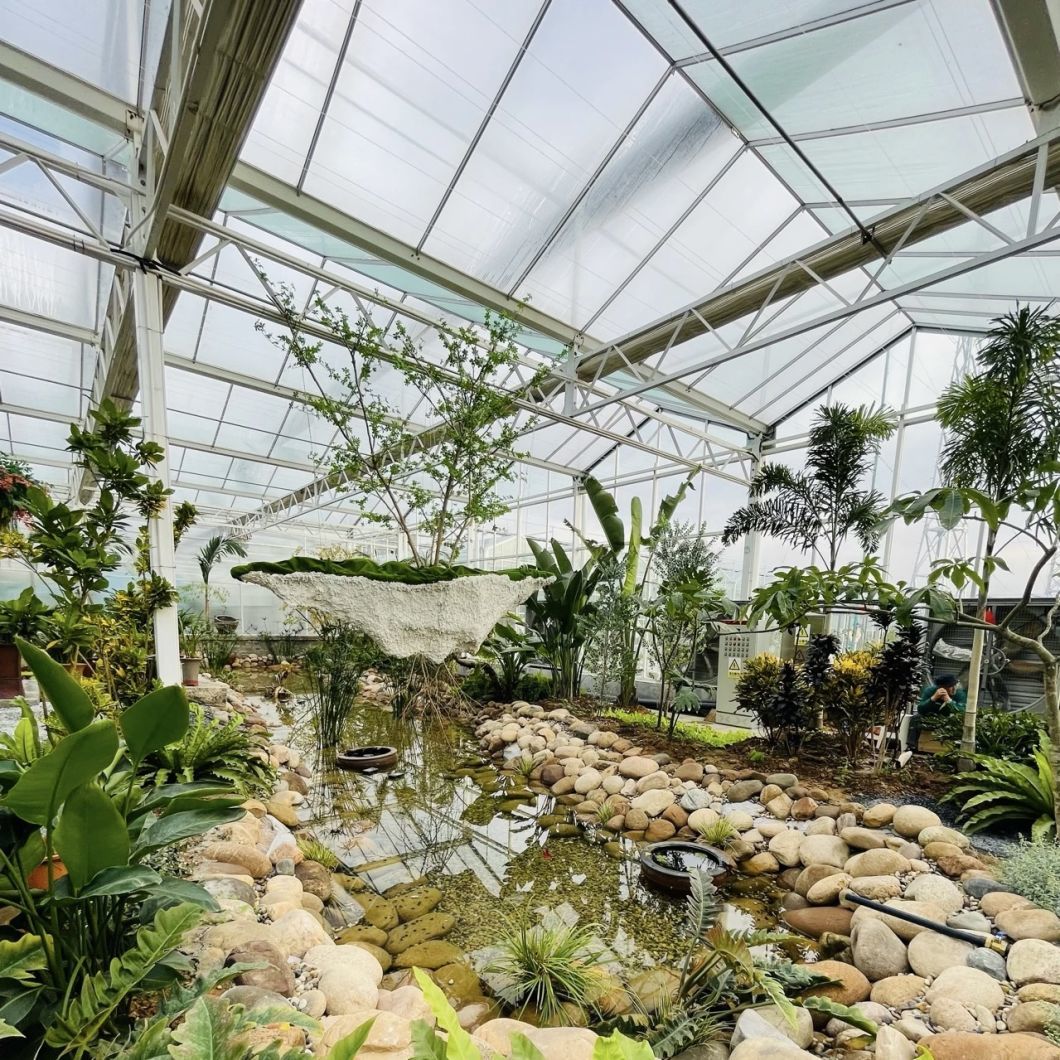 Chinese Origin Glass Greenhouse with Hydroponic Vegetables