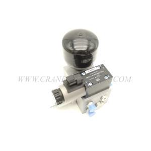 China STC250H.12.4.1 Crane Spare Parts Leading Valve Assembly 11179961 wholesale