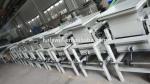 Commercial Small Capacity Pinecone Shucking Machine 400kg/H Capacity
