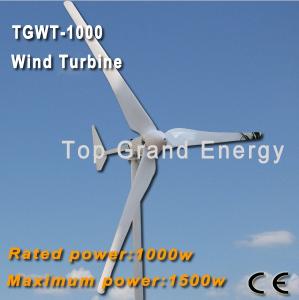 China TGWT-1000M 1000W 48V wind turbine Three phase permanent magnet AC synchronous generator wholesale