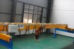 Warehouses Factories Electric Single Girder Overhead Crane 3 Ton Span 12m