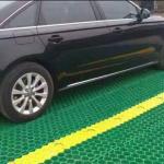 Tenglu HDPE Plastic Grass Paver Grid for Parking Lot and Driveway Free Spare