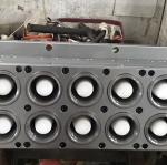 30 Days Lead Time Blister Plastic Thermoforming Mold