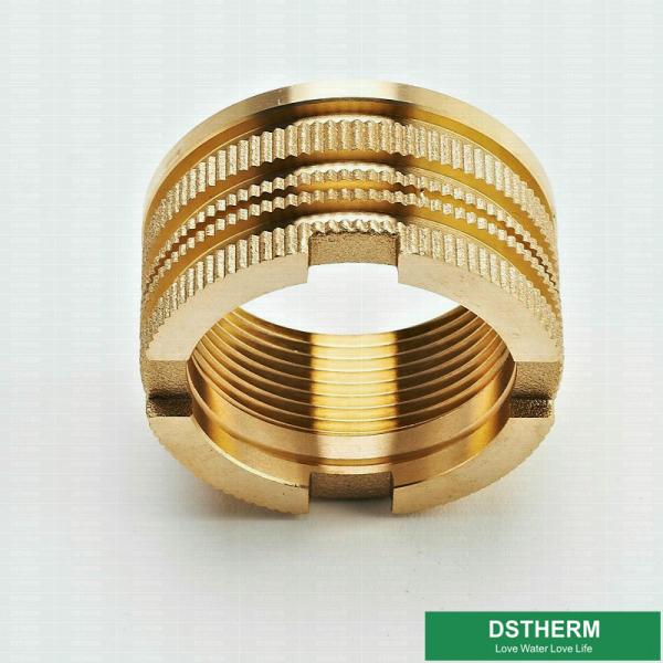 Italy Designs Customized Designs Precise Designs Female Brass Inserts For Ppr