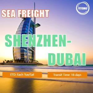 China 18 Days International Sea Freight Logistics From Shenzhen China To Dubai UAE wholesale