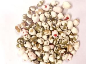China Wasabi Flavor Gour Coloe Coated Soya Bean Dry Roasted Snack Retailer Packing wholesale